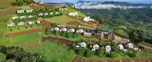 Mae Rim Other | ม่อนหมอกฟ้า ม่อนแจ่ม