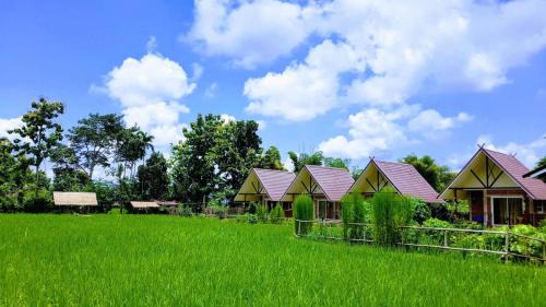 Pua House | ฮ้างนาตาจันทร์