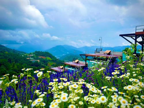 Mae Rim Other | แสงเหนือแคมป์ปิ้งม่อนแจ่ม