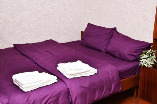 Zarichnyi District Apartment | 1-к квартира, Харківська, 38