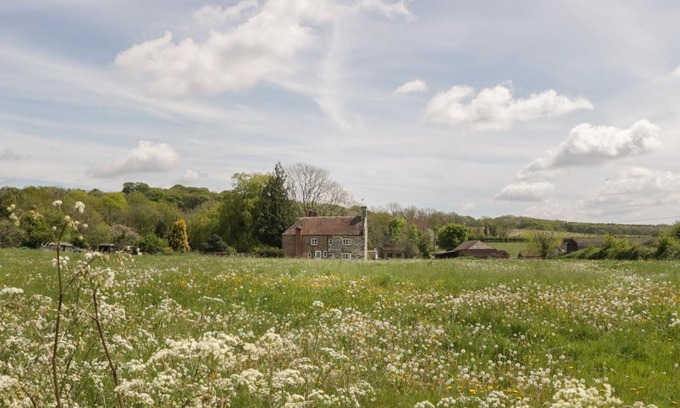 Bere Regis House | 2 Court Farm