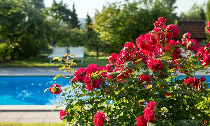Bitzenhofen Apartment | 3-room country house apartment "Überlingen" 80m²