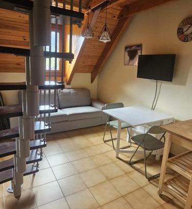 Pla de l'Ermita Apartment | 316 - Dúplex Pla de L'Ermita Boí Taüll