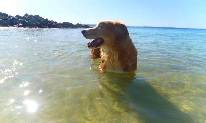 Salamander Bay House | 4 Gilchrist Rd - pet friendly, air con, Wi-Fi