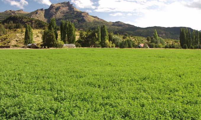 Tehuelches Other | 880 acre ranch in the Lake District of Argentina
