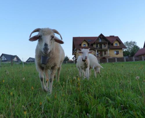 Czorsztyn House | Agroturystyka Pod Zamczyskiem