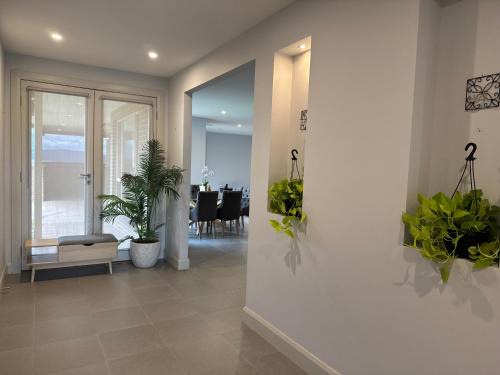Wallan House | Alaaya