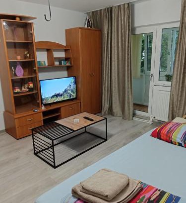 Craiova Apartment | Apartament 2 camere