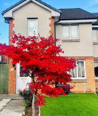 Glasgow House | Beautiful Cottage