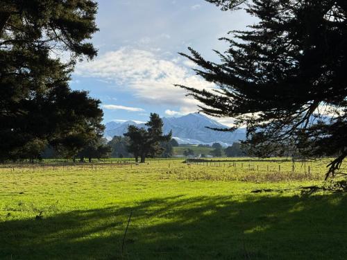 Geraldine House | Bellbird Hideaway