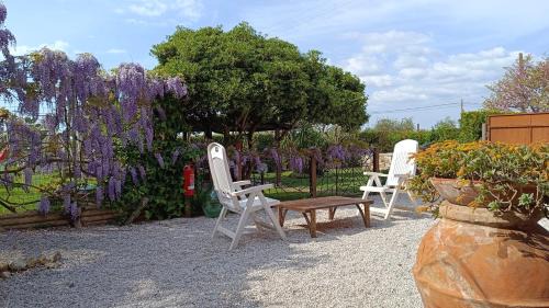 Castagneto Carducci Apartment | BellOretta