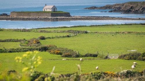 Ty Croes House | Bryntirion Wyn