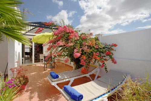 Sonnenland Apartment | Bungalow Aloe Dunas