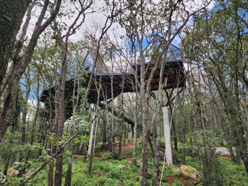 Omitlan de Juarez Ski Chalet | Cabaña Austral, Punta del Bosque