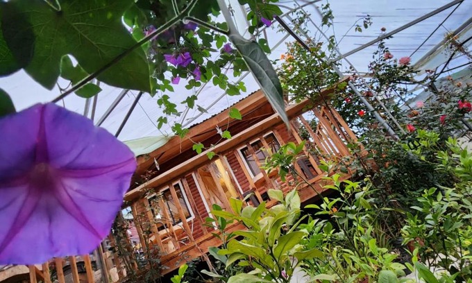 Canton Dota House | Cabaña el Faisán, Jardín de Dota