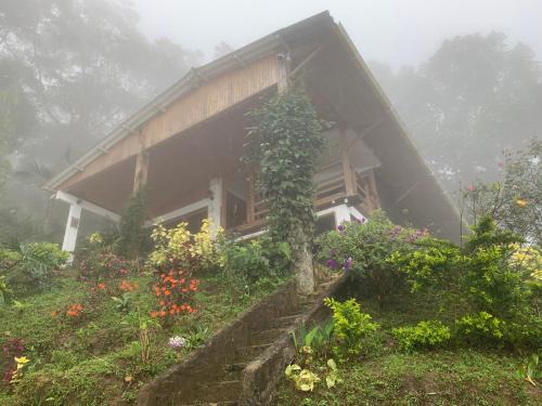 Papare House | Cabaña Guarumo de la Sierra - Minca