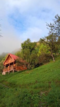 Viseu de Sus Cabin | Cabana Ulmului