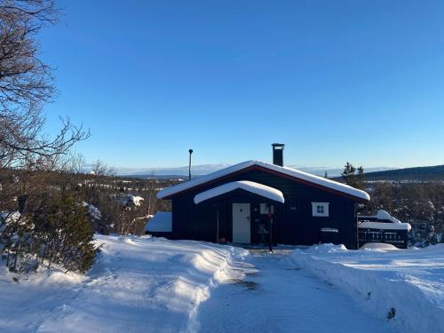 Vestre Slidre House | Cabin in the Mountain, with Solar Energy