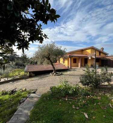 Formello House | Casa Butterfly