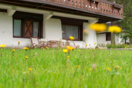 Cortina d'Ampezzo Apartment | Casa vacanze 5 Torri