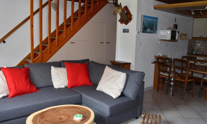 Pralognan-la-Vanoise Ski Chalet | Chalet ensoleillé 3 pièces, 6 pers, jardinet, proche commerces et téléphérique, Pralognan-la-Vanoise. - FR-1-464-8