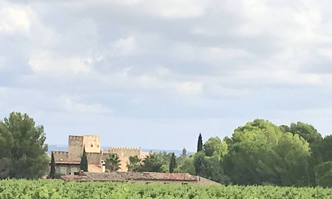 Cazouls-les-Beziers House | Chateau with swimming pool for 14 people in the middle of the vineyards