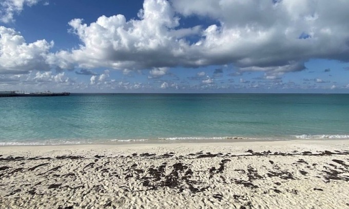 Alice Town Condo | Chic 2-bedroom condo in brilliant Bimini Bay, steps from the Beach, WiFi, AC