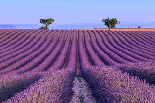 Roussillon House | Cocon Authentique de Roussillon