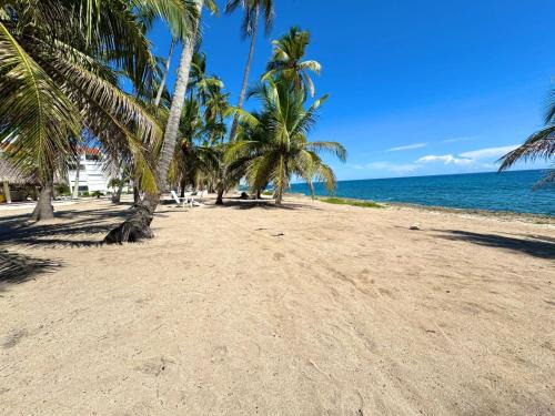 Caribbean Islands Apartment | Comodo apart de una hab Ideal para personas que están de viaje por trabajo