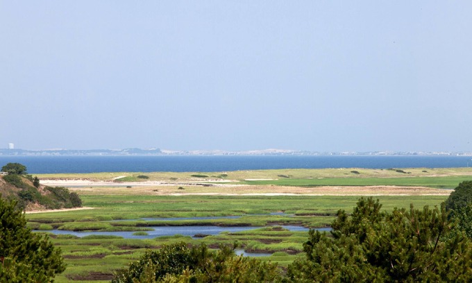 Wellfleet House | Contemporary Home on 4+ Secluded Acres with Gorgeous Views of Pamet and Bay