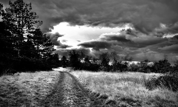 Montreal House | COSY GITE IN MEDIEVAL VILLAGE near AVALLON