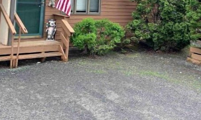 Windham House | Cozy Windham Condo - Hot Tub. 5 mins to Windham and 15 to Hunter, close to all.