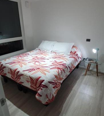 Valdivia Apartment | DEPA CENTRO VALDIVIA