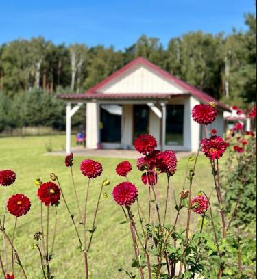 gmina Ostrowite House | Domki Letniskowe Między Jeziorami w Lipnicy