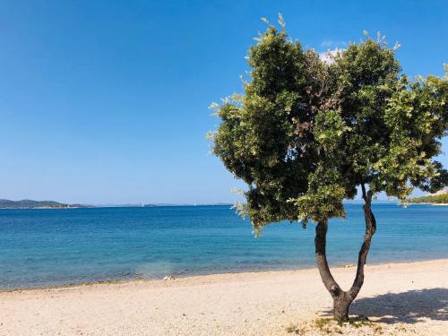 Drage Villa | Ecobeachvilla Buqez 9