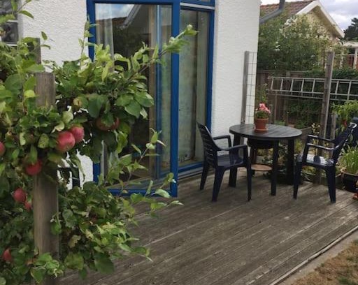 Falkenberg Apartment | En mysig liten lägenhet med egen uteplats.