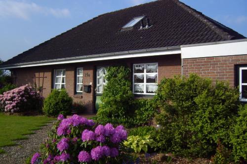 Koldenbuttel Apartment | Freesenkoog