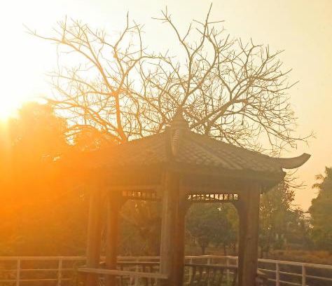 Pali Apartment | Home away from Home my place @Nirvana Alive