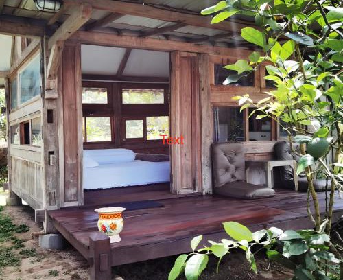 Kalipuro House | Homestay Ijen Lemon House