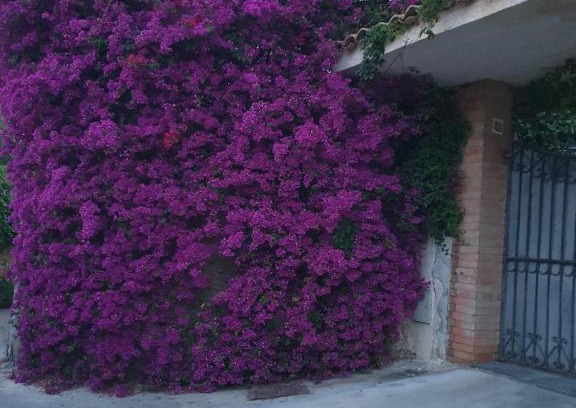 Acradina House | La Latomia Villa nei pressi del Teatro Greco