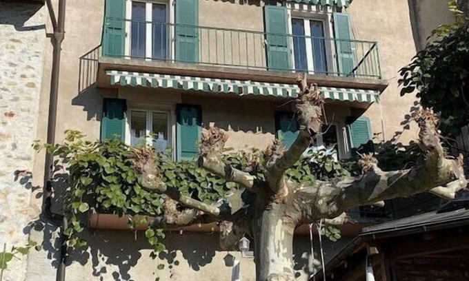 Arlesheim House | La Vigneronne, uitzicht op het meer