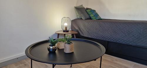 Mont-de-Marsan Apartment | Le petit Jungle - hyper centre - wifi