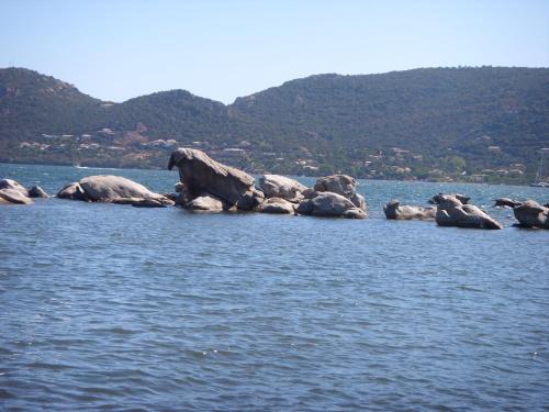 Porto-Vecchio Apartment | les muriers