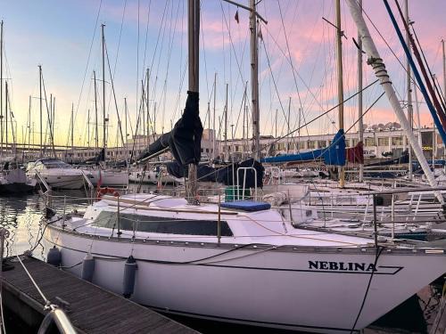 Lapa Boat Rental | Lisboa Sailing Tours - Night on board - Alcantara