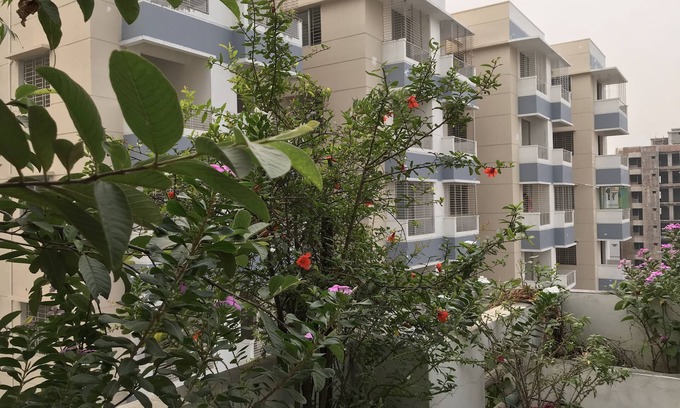 Dhaka Apartment | Living At Home