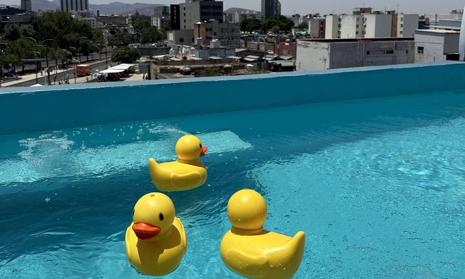 Downtown Mexico City Hotel | Mala Vecindad Centro Historico