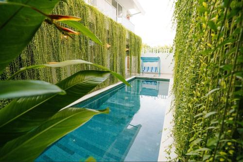 Berawa Apartment | Malam Hari ApartHotel