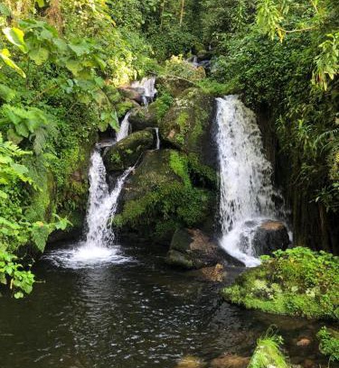 Kasese Cabin | Mbunga Community Tourism Campsite