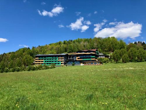 Bodenmais Hotel | Natura Hotel Bodenmais - inkl Soft- und Heißgetränkeflat