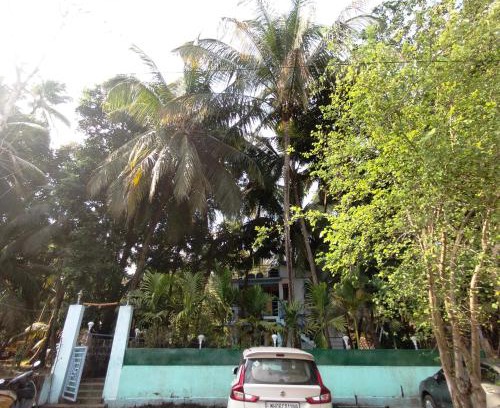 Devgad Cabin | Nisarg Holiday Home Devgad